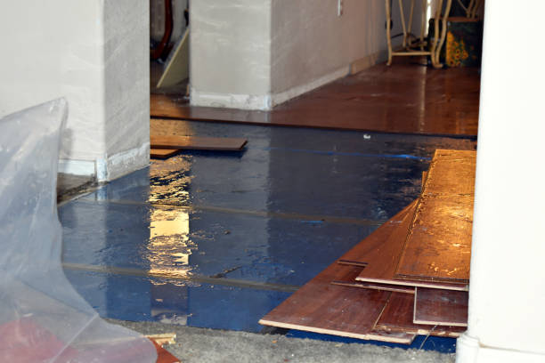 Professional Sewage Cleanup technician working in Selden, NY